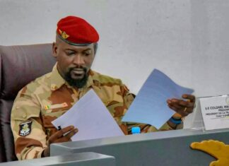 Présidentielle /Guinée : la campagne électorale debute ce 28 novembre