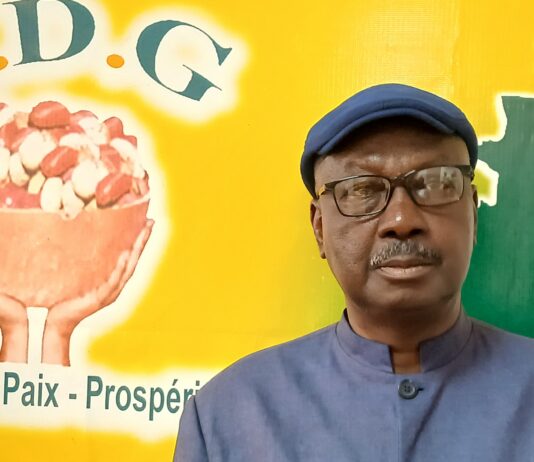 Guinée: l’UDG officialise sa participation aux élections du 24 Mai : “L’UDG sera présente aux législatives et locales”( Dembo Sylla )