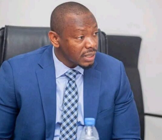 Guinée : Le Président Mamadi Doumbouya rétablit Mamadou Angelo Diallo et lui confie Simandou 2040