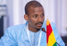 Guinée : » La dissolution des partis politiques, symptôme d’une crise profonde du système partisan » ! ( par Mamadou Barry)