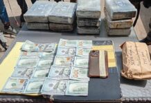 Guinée/Cocaïne, cash et arrestations: les services spéciaux frappent fort