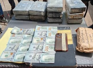 Guinée/Cocaïne, cash et arrestations: les services spéciaux frappent fort