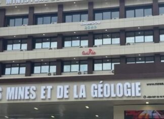 Mines : la Guinée devrait suspendre l’octroi de nouveaux permis miniers liés à des litiges en cours.