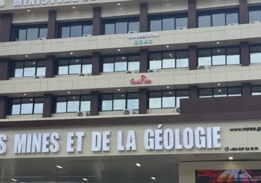 Mines : la Guinée devrait suspendre l’octroi de nouveaux permis miniers liés à des litiges en cours.