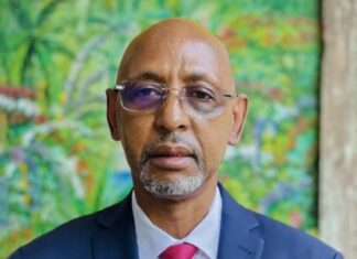 Au-delà du diplôme : Réformer le marché du travail pour libérer le potentiel de la jeunesse guinéenne