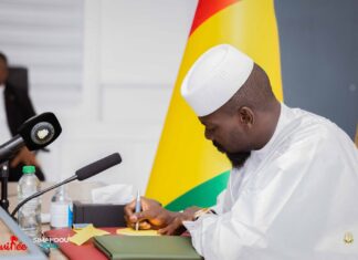 Diplomatie : Mamadi Doumbouya nomme Aboubacar Sidiki Camara à Paris et Bachir Diallo à Abidjan
