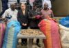 Guinée / Lutte contre la criminalité faunique : 359 kg d’écailles de pangolin saisis à Conakry, trois suspects déférés devant la justice