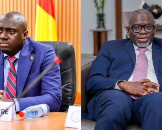 Séisme au sein du gouvernement guinéen : deux ministres limogés