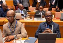 Lutte contre le trafic de drogues : Mohamed Lamine Simakan porte la voix de la Guinée à la 33ᵉ Réunion des chefs des services antidrogue à Vienne.
