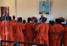 Affaire de chicha à Siguiri : 21 condamnations, quatre prévenus relaxés