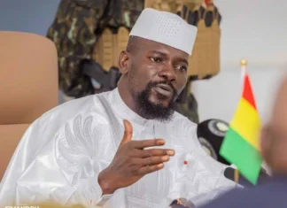 Guinée : l’État crée la Société nationale du tabac et accorde six mois aux opérateurs privés